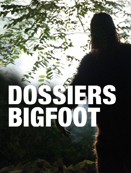 Dossiers Bigfoot