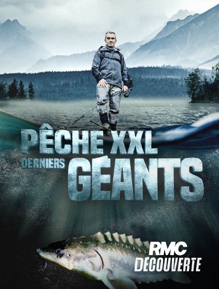 RMC Découverte - Pêche XXL : Derniers Géants