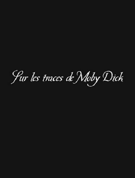 Sur les traces de Moby Dick