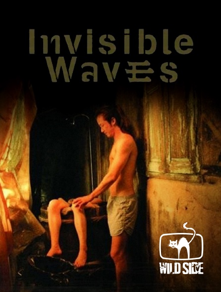Wild Side TV - Invisible waves