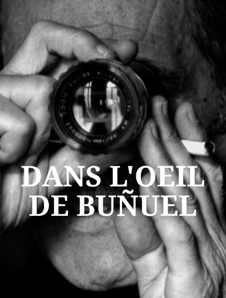 Dans l'oeil de Buñuel
