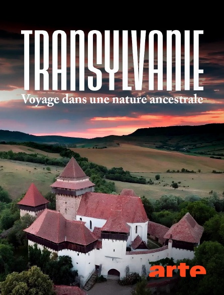 Arte - Transylvanie : Voyage dans une nature ancestrale