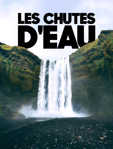 Les chutes d'eau : puissance et rugissements