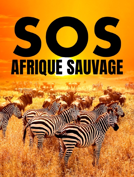 SOS Afrique sauvage