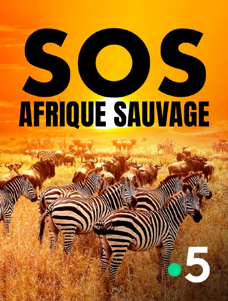 France 5 - SOS Afrique sauvage