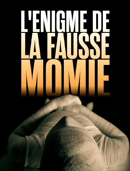 L'énigme de la fausse momie