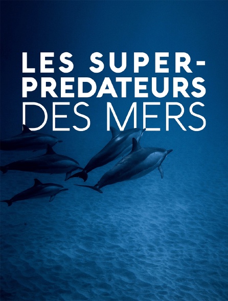 Les super-prédateurs des mers