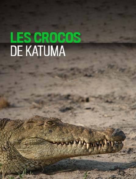 Les crocos de Katuma