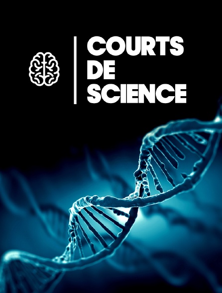 Courts de science