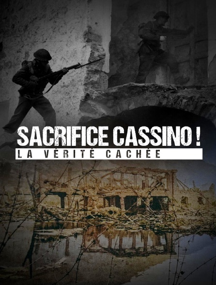 Sacrifice Cassino ! La vérité cachée