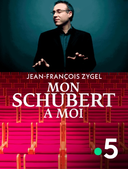 France 5 - Jean-François Zygel : Mon Schubert à moi