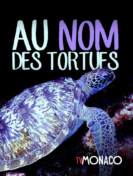 TV Monaco - Au nom des tortues