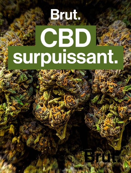 Brut - Pourquoi des fumeurs de CBD se sentent "devenir accro" ? en replay
