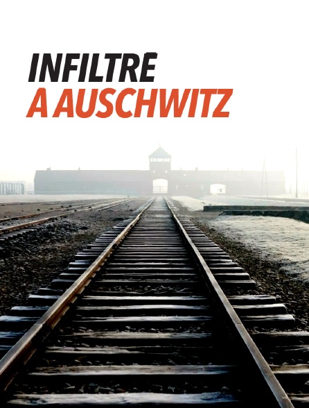 Infiltré à Auschwitz