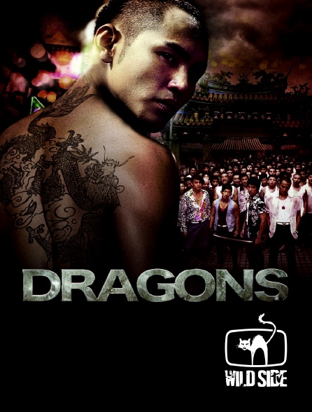 Molotov channels - Dragons