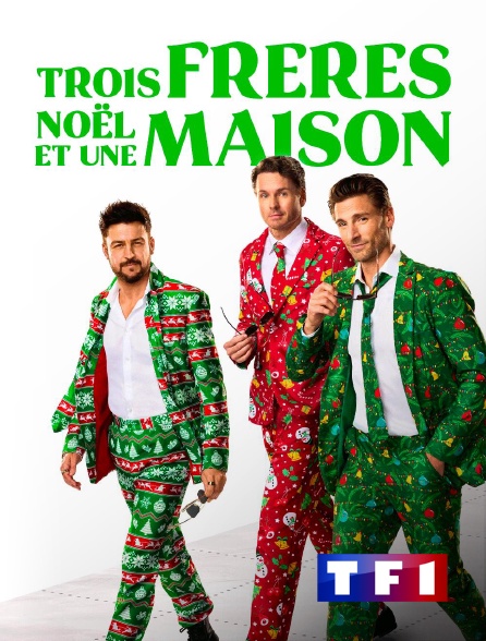 TF1 - Trois frères, Noël et une maison