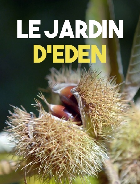 Le jardin d'Eden