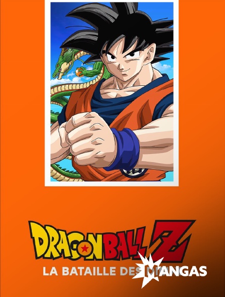 MANGAS - Dragon ball Z : La bataille des dieux