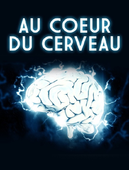 Au coeur du cerveau