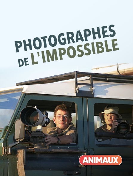 Animaux - Photographes de l'impossible