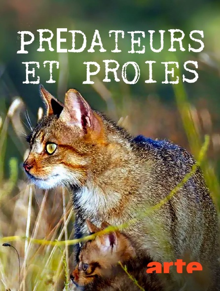 Arte - Prédateurs et proies