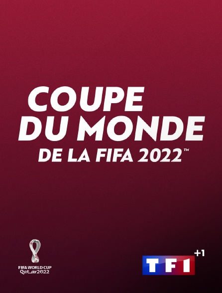 TF1 +1 - Football - Coupe du monde 2022