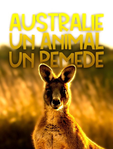 Australie : un animal, un remède