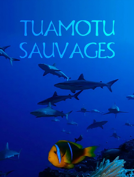 Tuamotu sauvages
