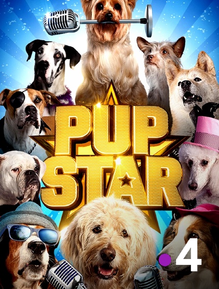 France 4 - Pup Star