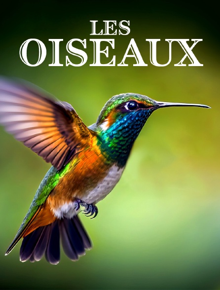 Les oiseaux