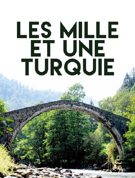 Les mille et une Turquie