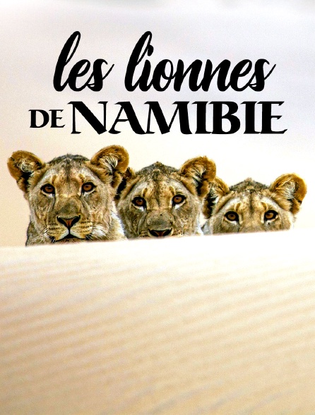 Les lionnes de Namibie : Reines de la côte des Squelettes