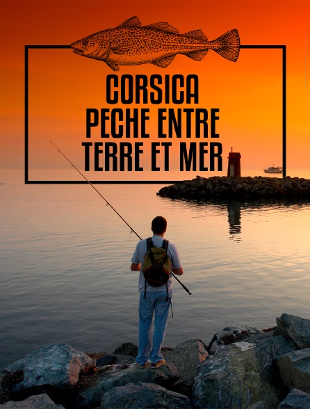 Corsica, pêche entre terre et mer, roadtrip et cochons sauva