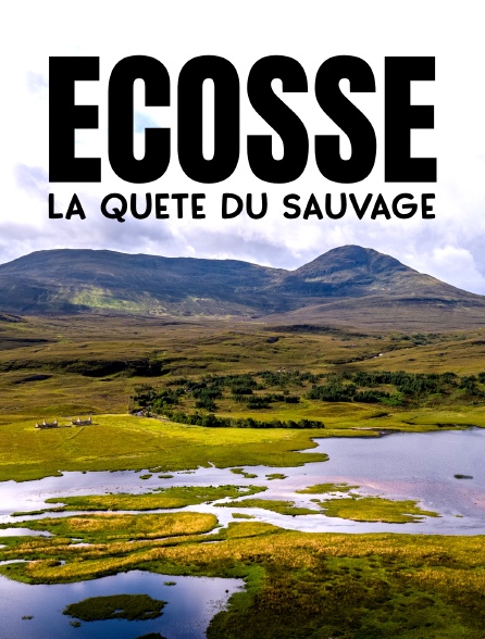 Ecosse, la quête du sauvage