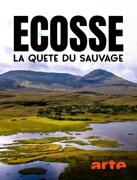 Arte - Ecosse, la quête du sauvage