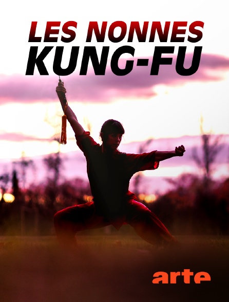 Arte - Les nonnes kung-fu : bouddhistes et féministes