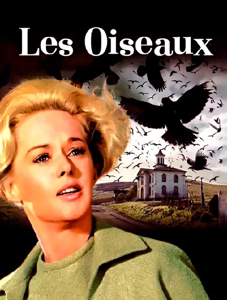 Les Oiseaux Hitchcock Streaming Vostfr Les oiseaux en Streaming - Molotov.tv