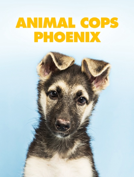 Animal Cops Phoenix