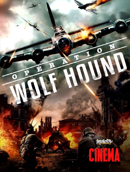 Molotov Channels Cinéma - Opération Wolf Hound