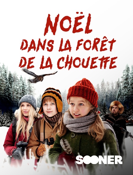 Sooner - Noël dans la forêt de la chouette