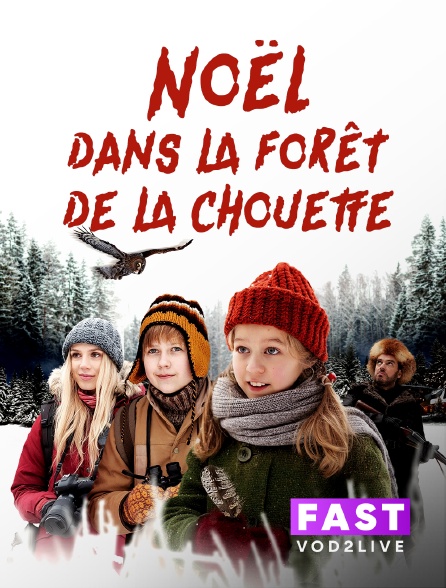 Molotov Channels TEST FAST - Noël dans la forêt de la chouette