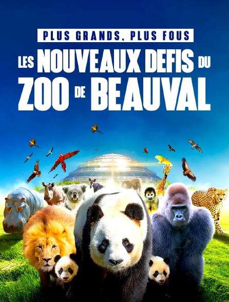 Le zoo de Beauval arrive au bout d'une nouvelle série de grands