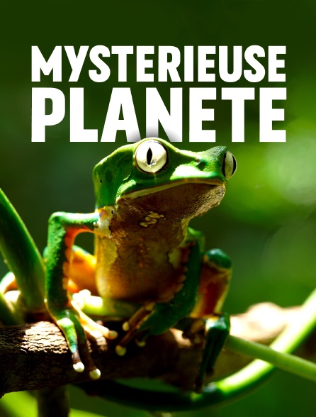 Mystérieuse planète