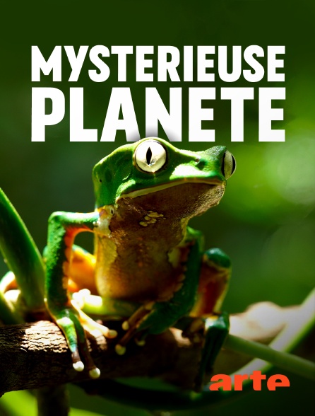 Arte - Mystérieuse planète