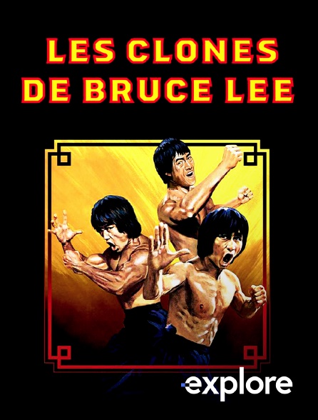 EXPLORE - Les clones de Bruce Lee