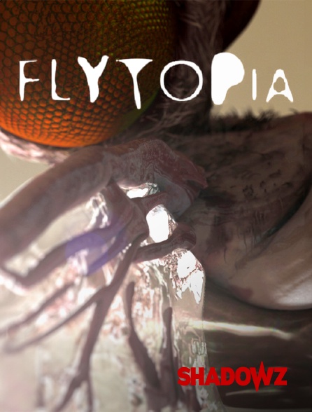 Shadowz - Flytopia
