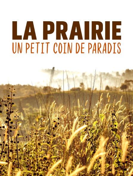 La prairie : un petit coin de paradis