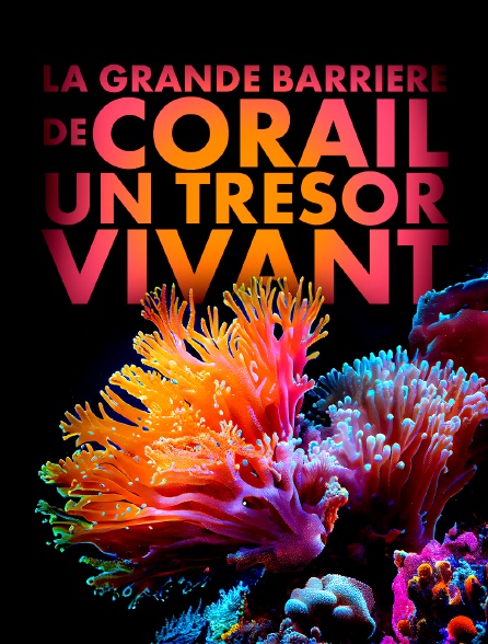 La grande barrière de corail : un trésor vivant