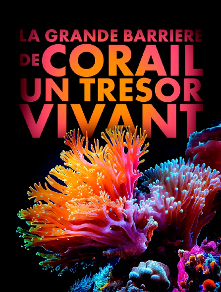 La Grande Barrière de corail : un trésor vivant