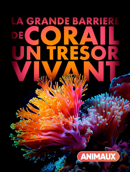 Animaux - La grande barrière de corail : un trésor vivant